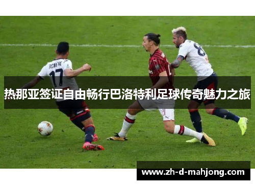 热那亚签证自由畅行巴洛特利足球传奇魅力之旅